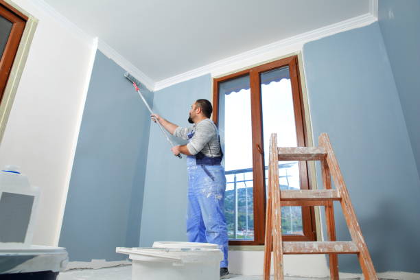 Bernalillo, NM Mold Removal Company