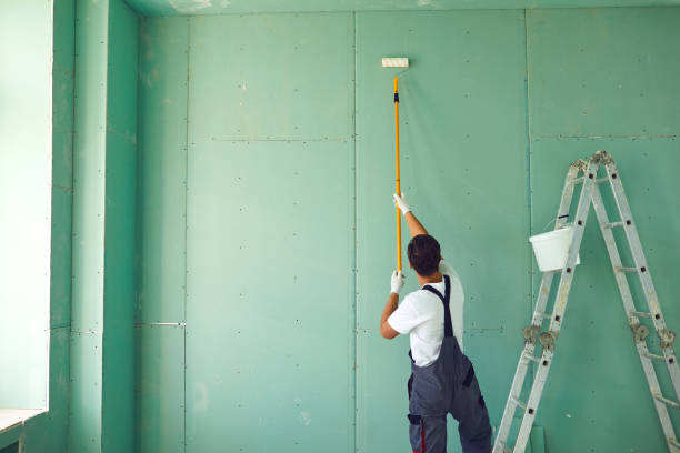 Best Mold Odor Removal Services  in Bernalillo, NM