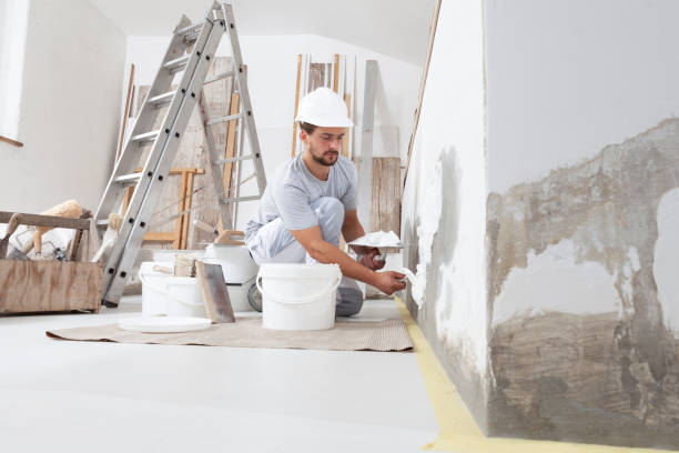 Best Attic Mold Removal  in Bernalillo, NM